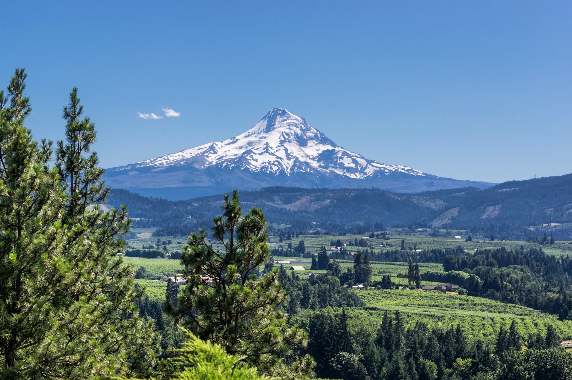 Escort Corvallis Oregon