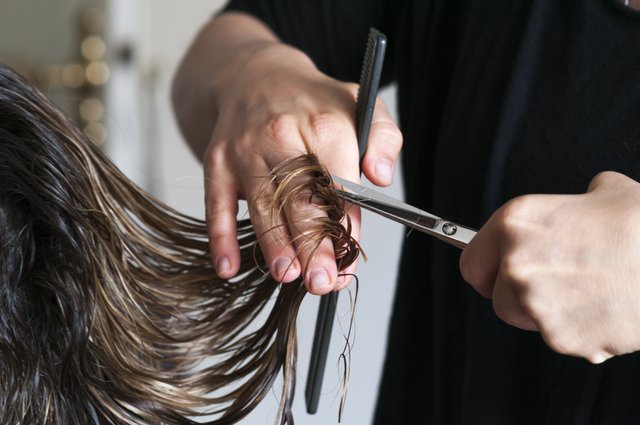 Original Groomer, 5000 Park Boulevard, Pinellas Park, FL, Barbers